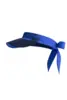 PAR69 BRAINY VISOR
