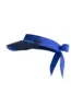 PAR69 BRAINY VISOR