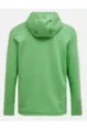 PEAK PERFORMANCE M TRAIL POLARTEC ZIP HOOD