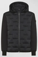 PEUTEREY HOLZER SJN BMAT