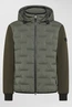 PEUTEREY HOLZER SJN BMAT