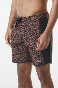 PICTURE ANDY 17 PRINTED BRDS
