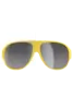 POC NIVALIS