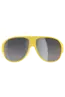 POC NIVALIS