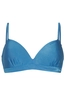 PROTEST ADAIRS TRIANGLE BIKINI TOP