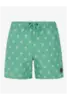 PROTEST ALVIS BEACHSHORT