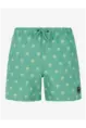 PROTEST ALVIS BEACHSHORT