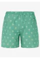 PROTEST ALVIS BEACHSHORT