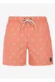 PROTEST ALVIS BEACHSHORT