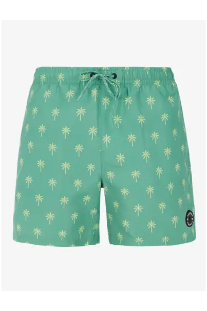 PROTEST ALVIS BEACHSHORT