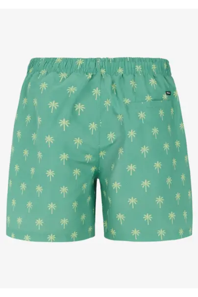 PROTEST ALVIS BEACHSHORT