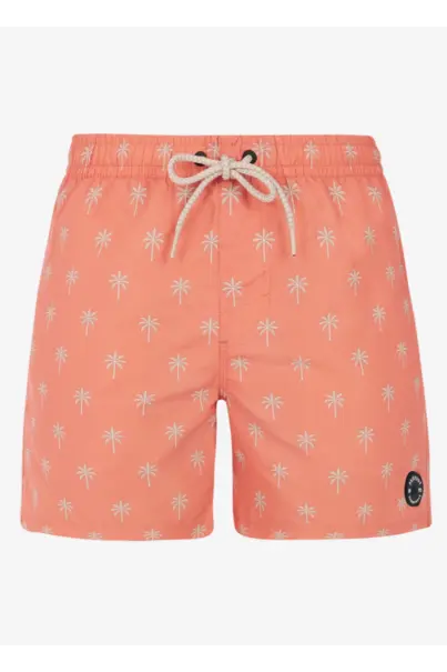 PROTEST ALVIS BEACHSHORT