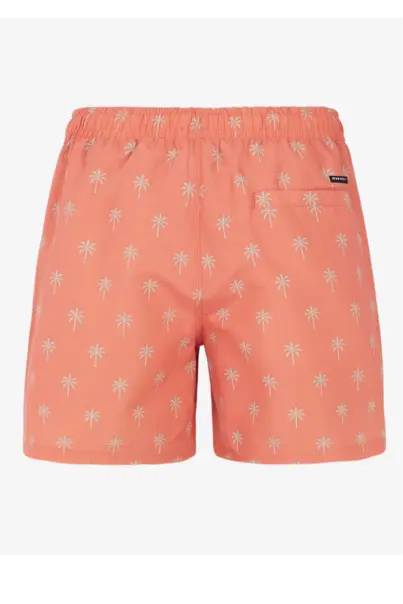 PROTEST ALVIS BEACHSHORT