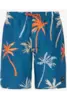 PROTEST BRANDON JR BEACHSHORT