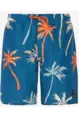PROTEST BRANDON JR BEACHSHORT