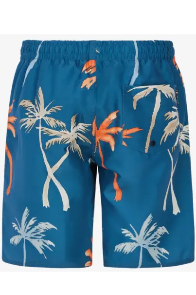PROTEST BRANDON JR BEACHSHORT