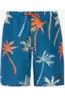 PROTEST BRANDON JR BEACHSHORT