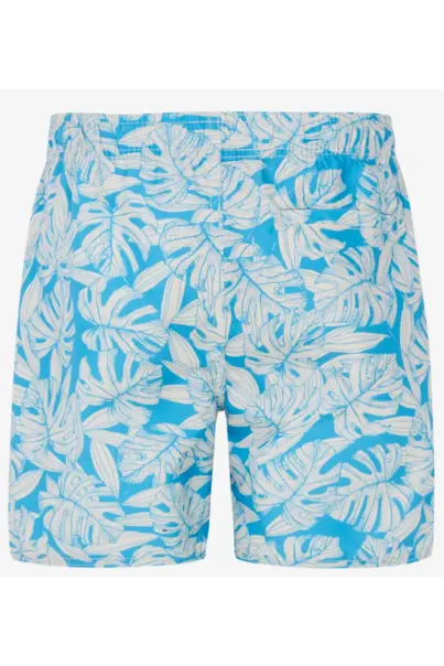 PROTEST COLNEY JR BEACHSHORT