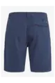 PROTEST COMIE SHORT