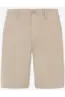 PROTEST COMIE SHORT
