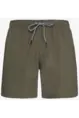 PROTEST DAVEY BEACHSHORT