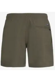 PROTEST DAVEY BEACHSHORT