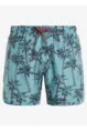PROTEST FAAS JR BEACHSHORT