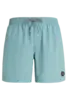 PROTEST FASTER BEACHSHORT