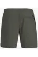 PROTEST FASTER BEACHSHORT