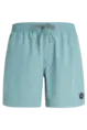 PROTEST FASTER BEACHSHORT