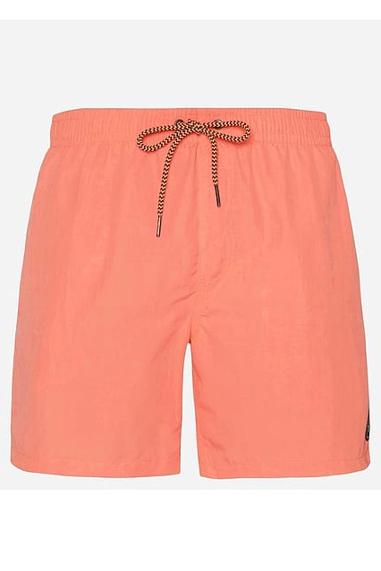 PROTEST FASTER BEACHSHORT