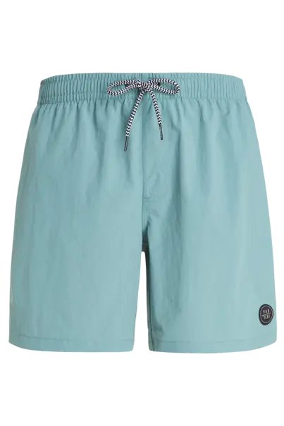 PROTEST FASTER BEACHSHORT
