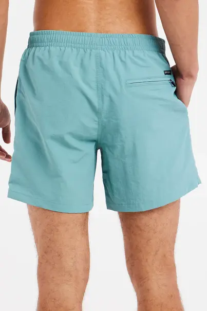 PROTEST FASTER BEACHSHORT