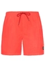 PROTEST FASTER BEACHSHORT