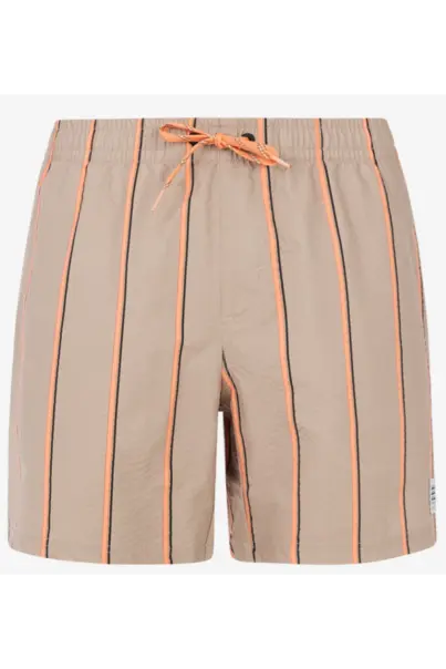 PROTEST GONZ BEACHSHORT