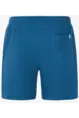PROTEST GRAIG SHORTS