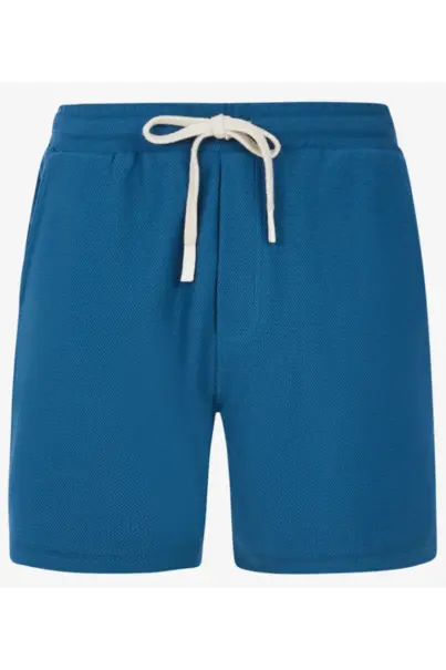 PROTEST GRAIG SHORTS