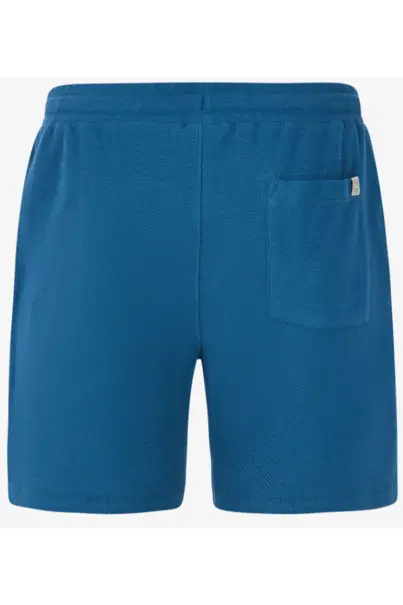 PROTEST GRAIG SHORTS