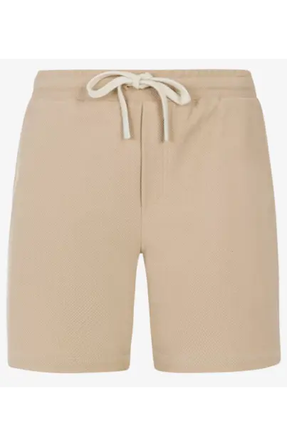 PROTEST GRAIG SHORTS