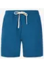 PROTEST GRAIG SHORTS