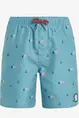 PROTEST HEIN JR BEACHSHORT