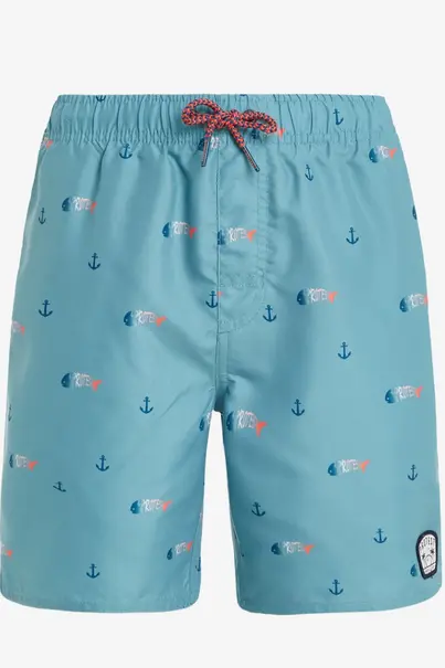 PROTEST HEIN JR BEACHSHORT