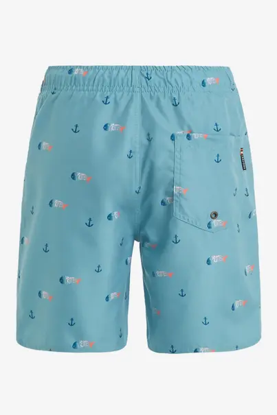 PROTEST HEIN JR BEACHSHORT