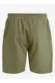 PROTEST ROLAN JR JOGGING SHORT