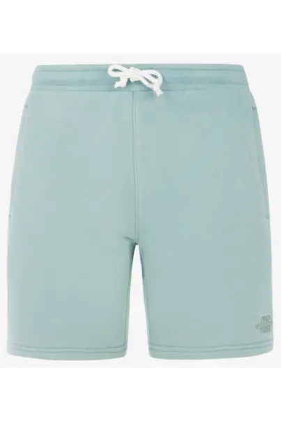 PROTEST TEDOR SHORTS