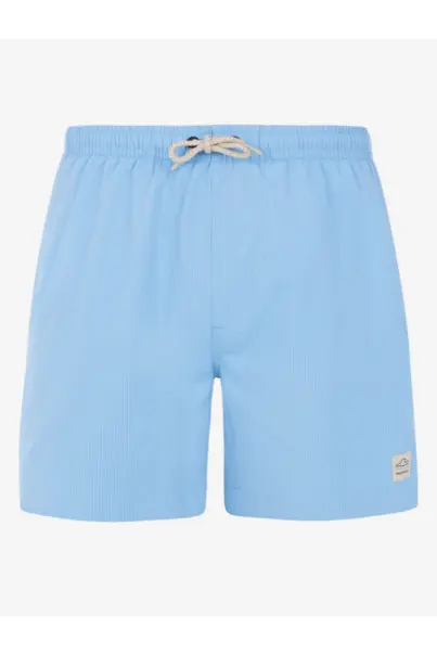 PROTEST WYTON BEACHSHORT