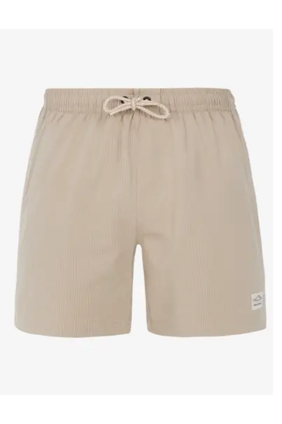 PROTEST WYTON BEACHSHORT