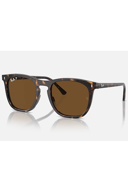 RAY-BAN PROPIONATE UNISEX SUNGLASS