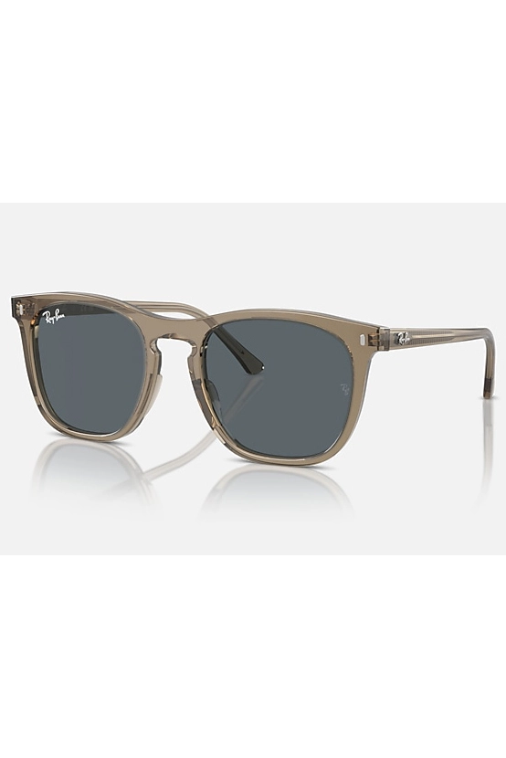 RAY-BAN PROPIONATE UNISEX SUNGLASS