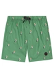 SHIWI PELICAN SWIM SHORT